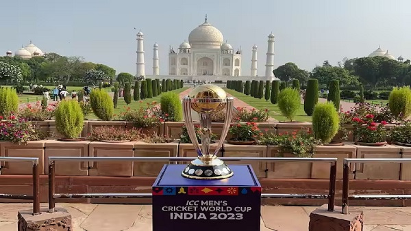 Most Half Century In World Cup